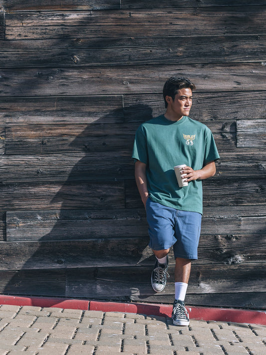 Bruno Carpenter 20" | Hurley Destroyer Shorts