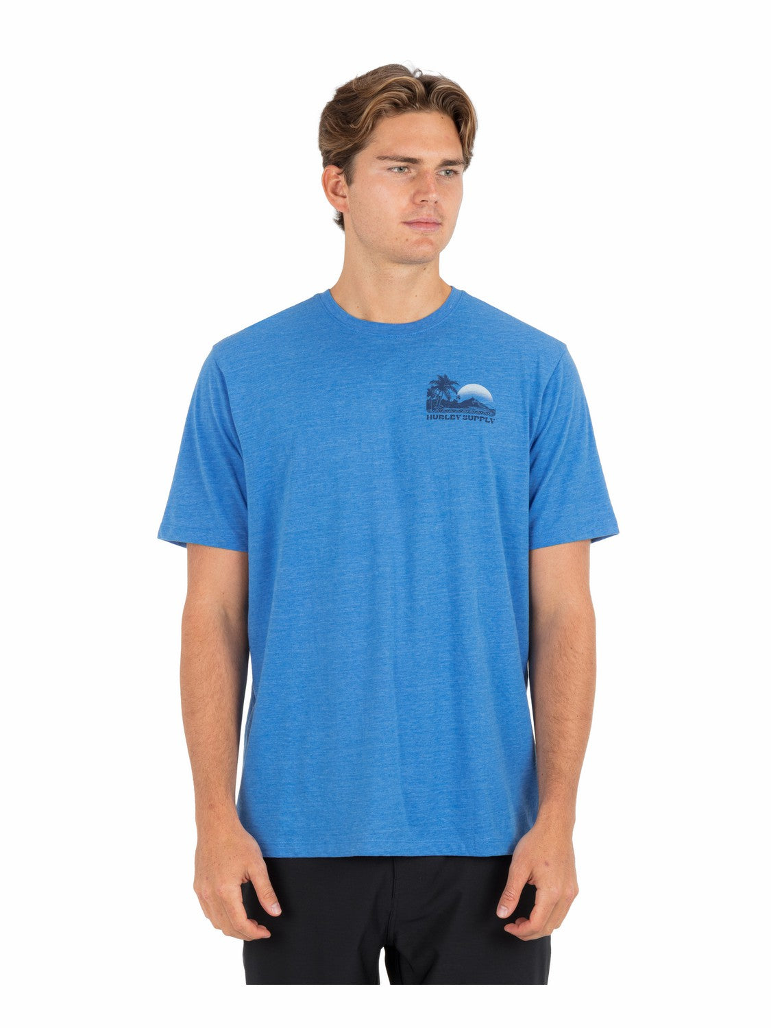 Island Scape Short Sleeve | Hurley Seashore Heather T-Shirts