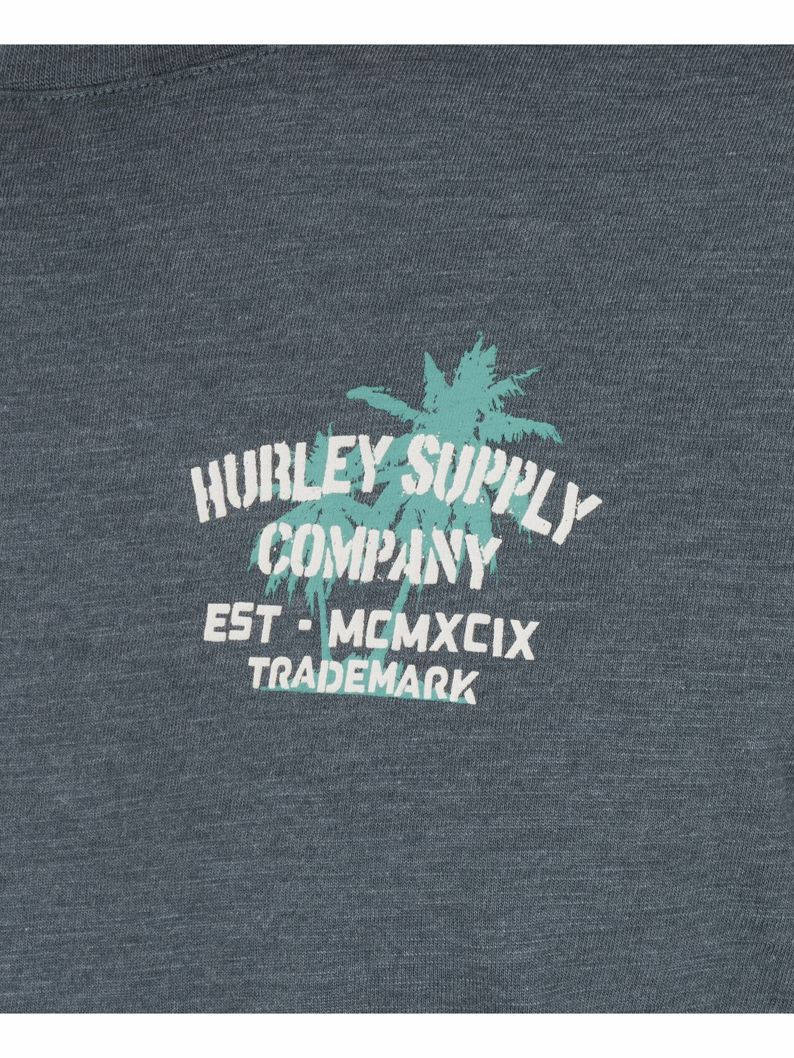 Shape Shack Slub Short Sleeve | Hurley Destroyer T-Shirts