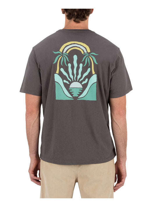 Valley Of Water Short Sleeve | Hurley Ion Grey T-Shirts